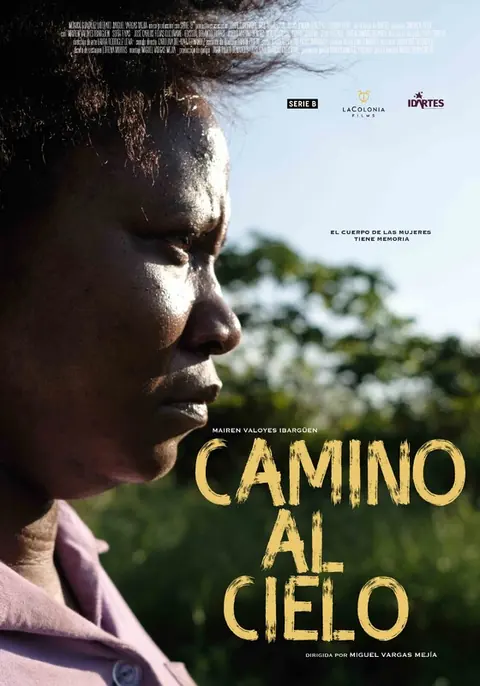 Afiche de Camino al cielo